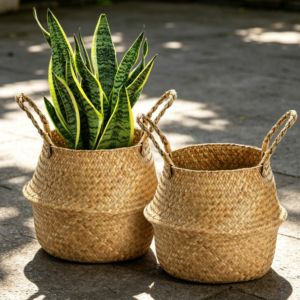 2 Pack Large Seagrass Plant Basket with Handles
